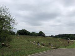 -保利石象湖景区