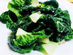 生炝木耳菜-九十九顶毡房(阜石路店)