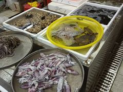 -板桥海鲜广场(文明东店)