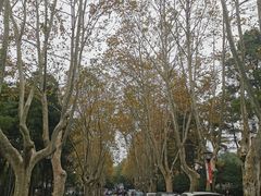 -浙江大学(玉泉校区)