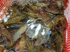 -嘉荟市场(北新泾店)