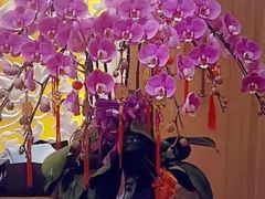 -臻宝中餐厅·大连菜·海鲜·融合菜(大连一方城堡豪华精选酒店)