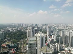 -爱雍·乌节