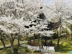 景点-缥缈峰景区