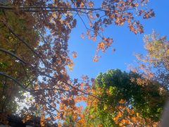 -北京西山国家森林公园