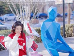 -中粮·祥云小镇