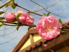 -意大利农场度假村