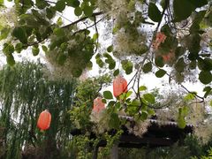 -济南国际园博园