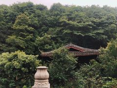 -午潮山国家森林公园
