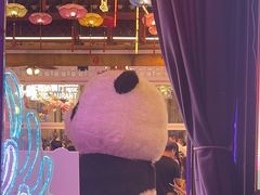 -喜鹊音乐酒馆(西街店)