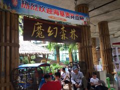 -The Ring Pavilion 魔幻森林