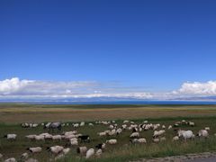 -青海湖国家重点风景名胜区