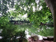 -荣家小吃(紫阳街店)