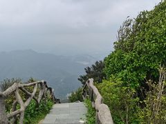 -梧桐山风景名胜区