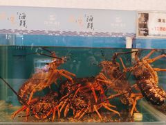 -财神岛·大连海鲜餐厅