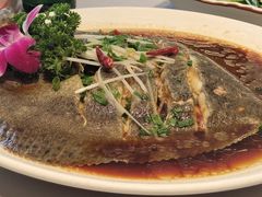 清蒸鲈鱼-都来福海鲜大酒店(大东店)