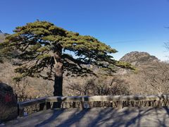 -黄山风景区