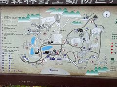 -青岛森林野生动物世界