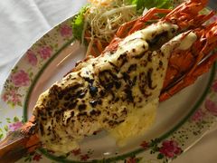 -Red Lobster