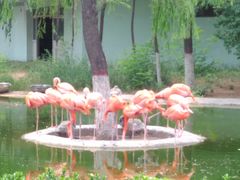 -石家庄市动物园