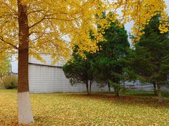 -辽宁大学(崇山校区)