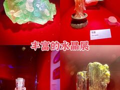 -广东省博物馆