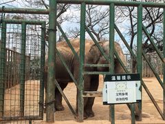 -昆明动物园