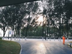 -宝安西湾红树林湿地公园