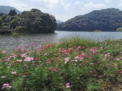 -广州市石门国家森林公园