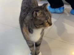 -平行世界·猫咖(首经贸店)