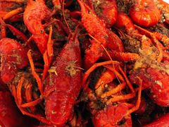 小龙虾-老四川小龙虾(交通三巷步行街店)