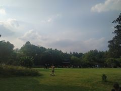 -东湖落雁景区