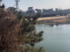 -日照海滨国家森林公园