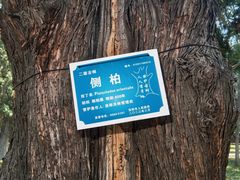 -关林
