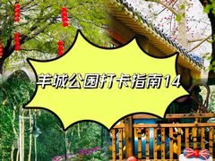 -晓港公园
