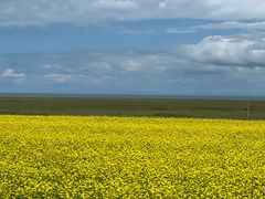 -青海湖国家重点风景名胜区