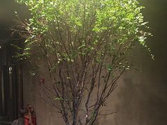 -森SPA·泰式按摩·精油Massage(宝安中心店)