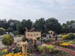 -北京十三陵国家森林公园蟒山景区