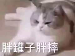 -胖子菜馆(隆昌路店)