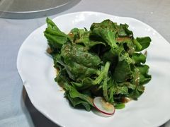 -鸭王烤鸭店(三里河店)