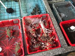 -霞涌市场海鲜摆卖区