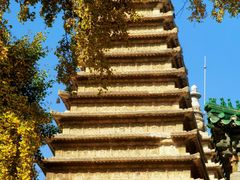 -北京石刻艺术博物馆(五塔寺)