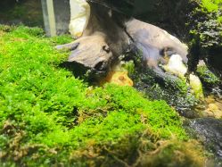 -酷嗒动物文化乐园(cutezoo西溪乐天城店)