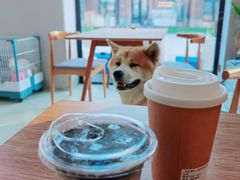 -小意思咖啡店(草桥店)