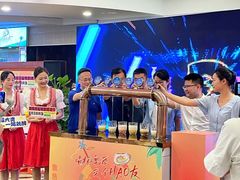 -圣爵菲斯大酒店(长沙世界之窗店)