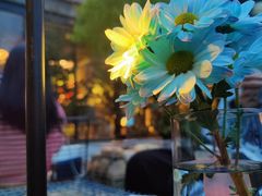 -自由生长植物工作室(深港花卉中心店)