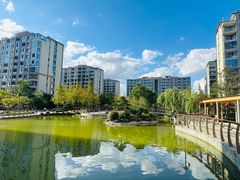 -梧桐人家中国太平国际健康颐养社区