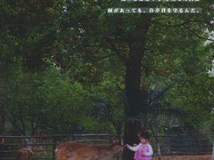 -秀丽东方