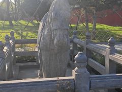 -洛阳白马寺