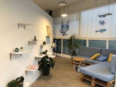 -有猫主题·治愈系猫咖(曾厝垵店)
